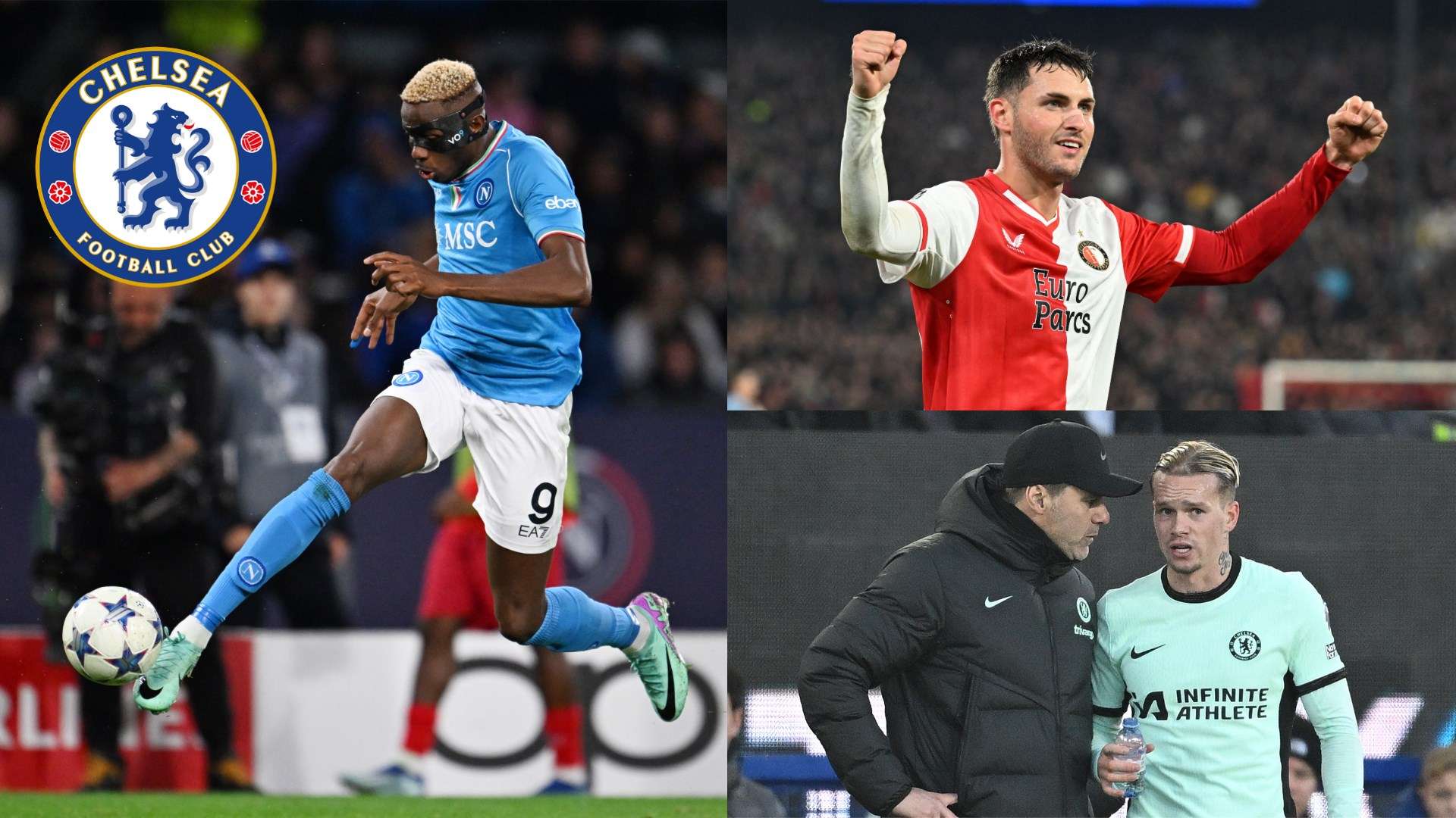 揭示了一个 揭示了一个